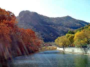 管家婆黑白马报图库，国际观察 天涯